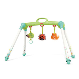 بازی آموزشی نوزادان هولا تویز مدل پلی جیم کد 288