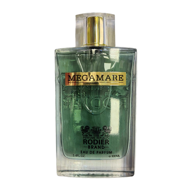 ادوپرفیوم مردانه رودیر مدل مگاماره حجم 100 میلی لیتر
