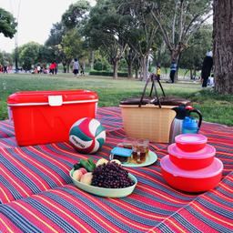 زیر انداز سفری راحل مدل حصیری یک تکه کد 4