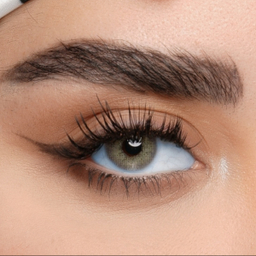 لنز فصلی بیوتی کد ACQA31 شماره 15 رنگ طوسی عسلی بدون دور