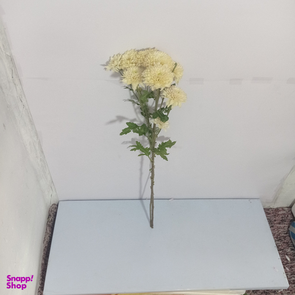 شاخه گل طبیعی داوودی کد 20
