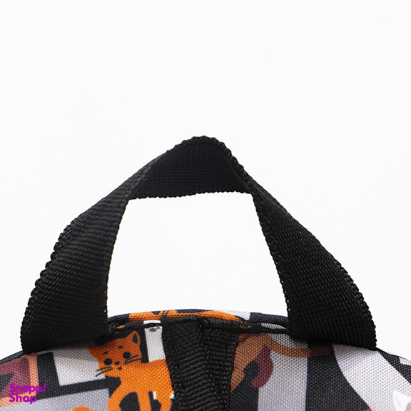 کوله پشتی پسرانه توریث مدل AA-150003