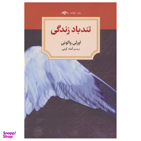 کتاب تند باد زندگی اثر اورلی والونی انتشارات دیدآور