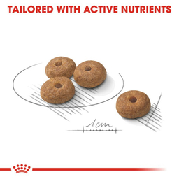 غذا خشک سگ رویال کنین مدل Mini Sterilized وزن 3 کیلوگرم