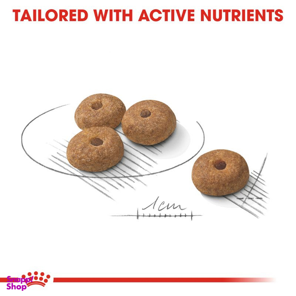 غذا خشک سگ رویال کنین مدل Mini Sterilized وزن 3 کیلوگرم