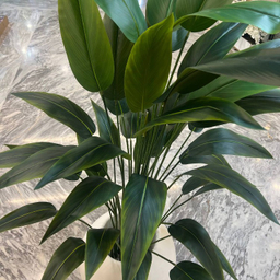 درختچه مصنوعی پرنده بهشتی نکولای کد 42