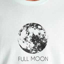 تیشرت مردانه ال سی وایکیکی مدل moon