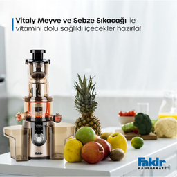 آبمیوه گیری فکر مدل VITALY
