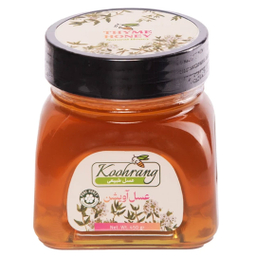 عسل طبیعی گون رویال کندو کوهرنگ وزن 450 گرم