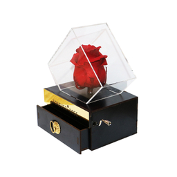 جعبه گل رز جاودان مدل موزیکال کشودار MeloRose