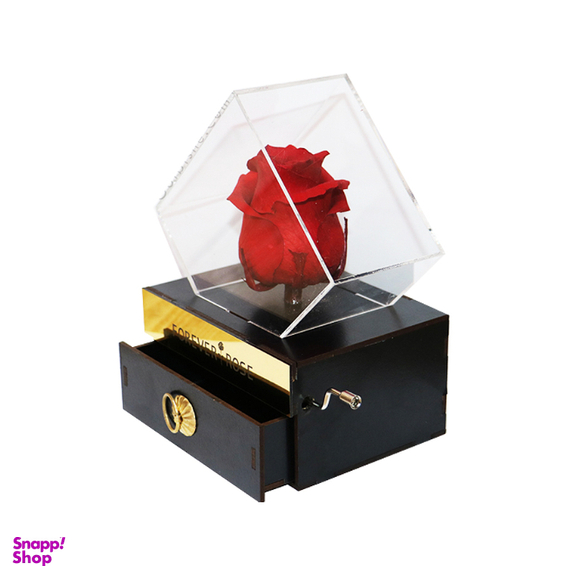 جعبه گل رز جاودان مدل موزیکال کشودار MeloRose