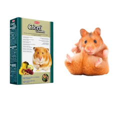 غذای آجیلی همستر پادوان مدل Criceti Grandmix کد 4143 وزن 400 گرم