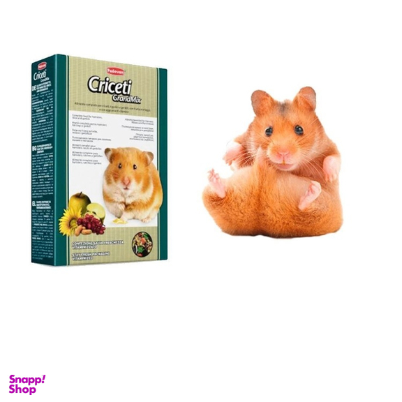 غذای آجیلی همستر پادوان مدل Criceti Grandmix کد 4143 وزن 400 گرم