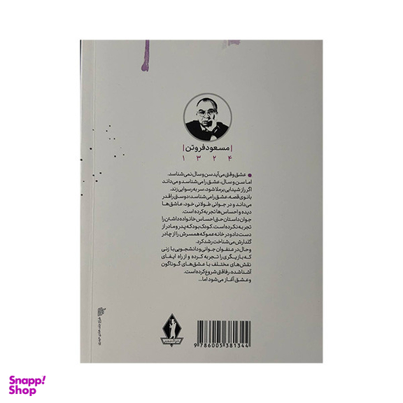 کتاب بانوی زیبای من اثر مسعود فروتن انتشارات جاویدان