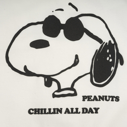 سویشرت پسرانه فیورلا مدل اسنوپی کد 45530