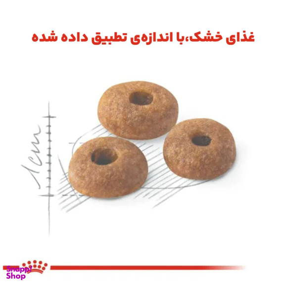 غذای خشک گربه رویال کنین مدل Regular Fit 32 وزن 2 کیلوگرم