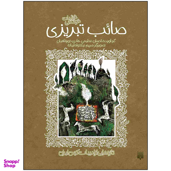 کتاب غزلیات خواندنی صائب تبریزی اثر هادی خورشاهیان و احسان عظیمی انتشارات پیدایش