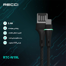 کابل تبدیل USB به USB-C رسی مدل RTC-N19C طول 1 متر