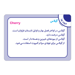 فلش کارت میوه ها انتشارات برف