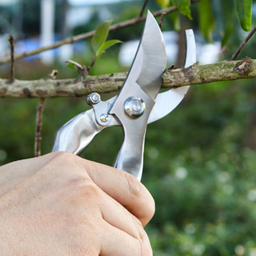 قیچی باغبانی فونیکس مدل ZG08