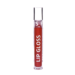 رژ لب مایع فرانسیس مدل Lip Gloss کد 11
