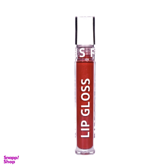 رژ لب مایع فرانسیس مدل Lip Gloss کد 11