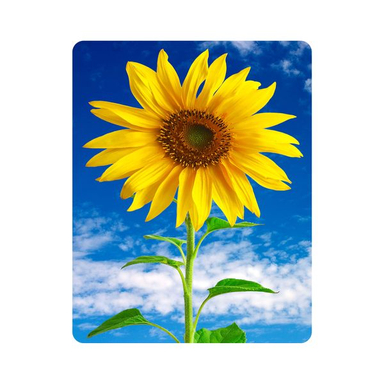 ماوس پد اطلس آبی طرح گل آفتابگردان و آسمان مدل T6994