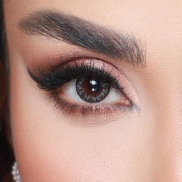 لنز رنگی سالیانه هرا شماره 6 کد HJ210 رنگ طوسی دور مشکی