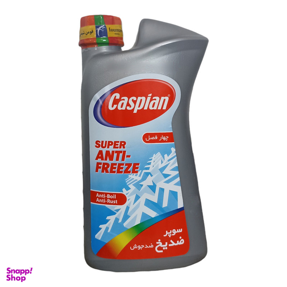ضدیخ و آب باتری کاسپین مدل AS1 وزن 1 کیلوگرم بسته 2 عددی