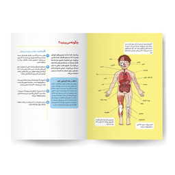 کتاب بدن انسان اثر کتی استوکس انتشارات کودکیار