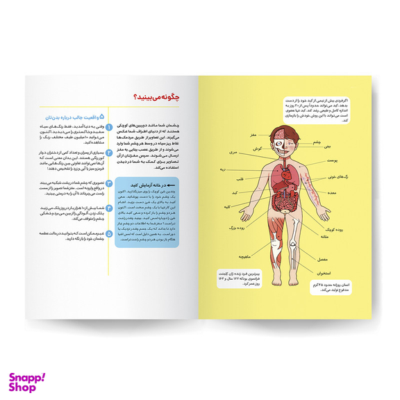 کتاب بدن انسان اثر کتی استوکس انتشارات کودکیار