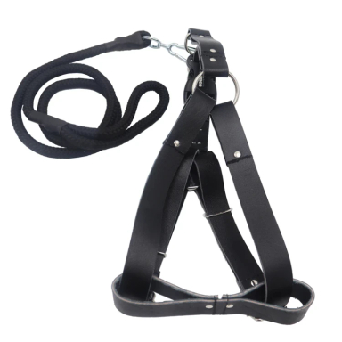 قلاده کمری سامکو مدل YP3-LIDDAR135CM به همراه لید