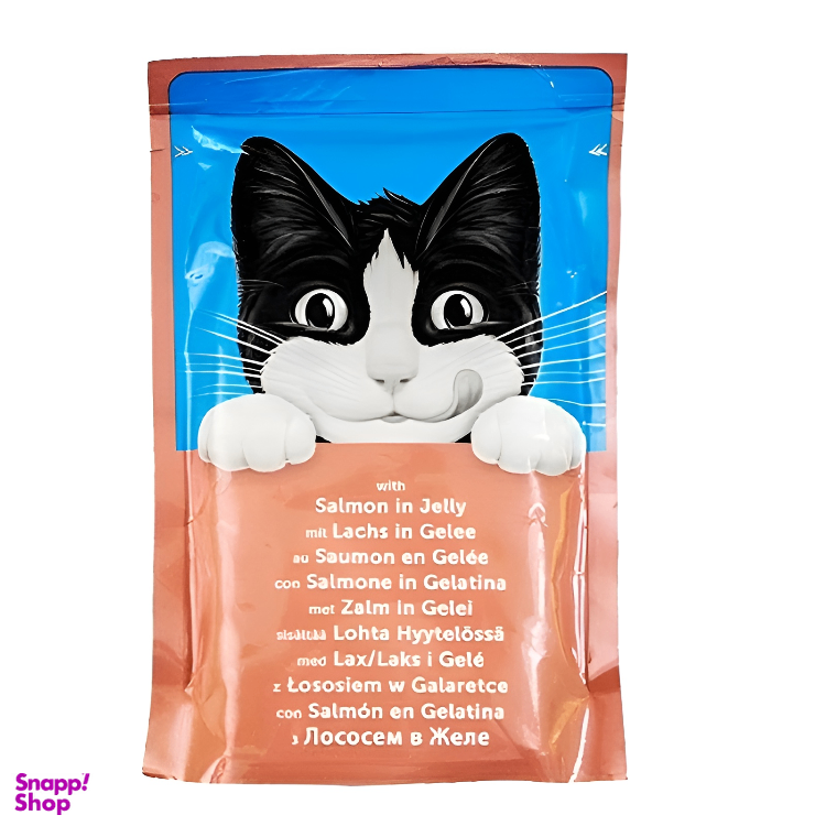پوچ گربه فلیکس مدل Salmon وزن 85 گرم
