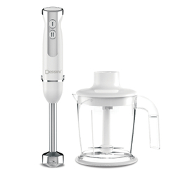 گوشتکوب برقی 3 کاره دسینی مدل DS181