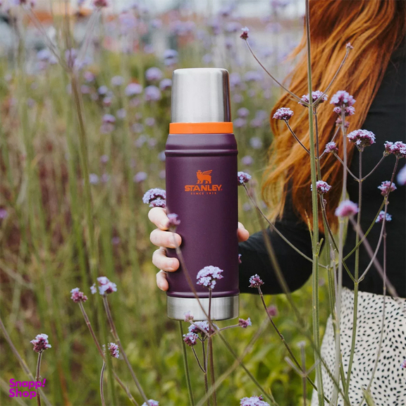 ماگ دسته دار استنلی مدل Classic Camp Mug گنجایش 350 میلی لیتر