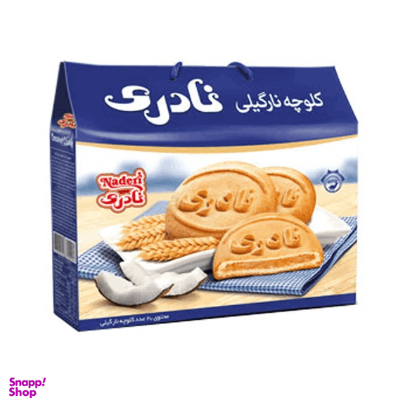 کلوچه کلاسیک نارگیلی نادری بسته 20 عددی