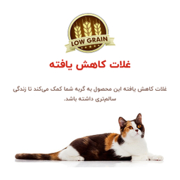 غذای خشک گربه بوناسیبو مدل مرغ و برنج وزن 2 کیلوگرم