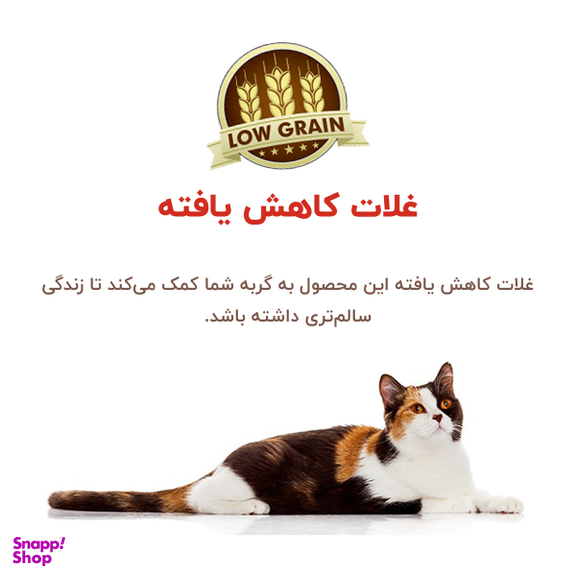 غذای خشک گربه بوناسیبو مدل مرغ و برنج وزن 2 کیلوگرم
