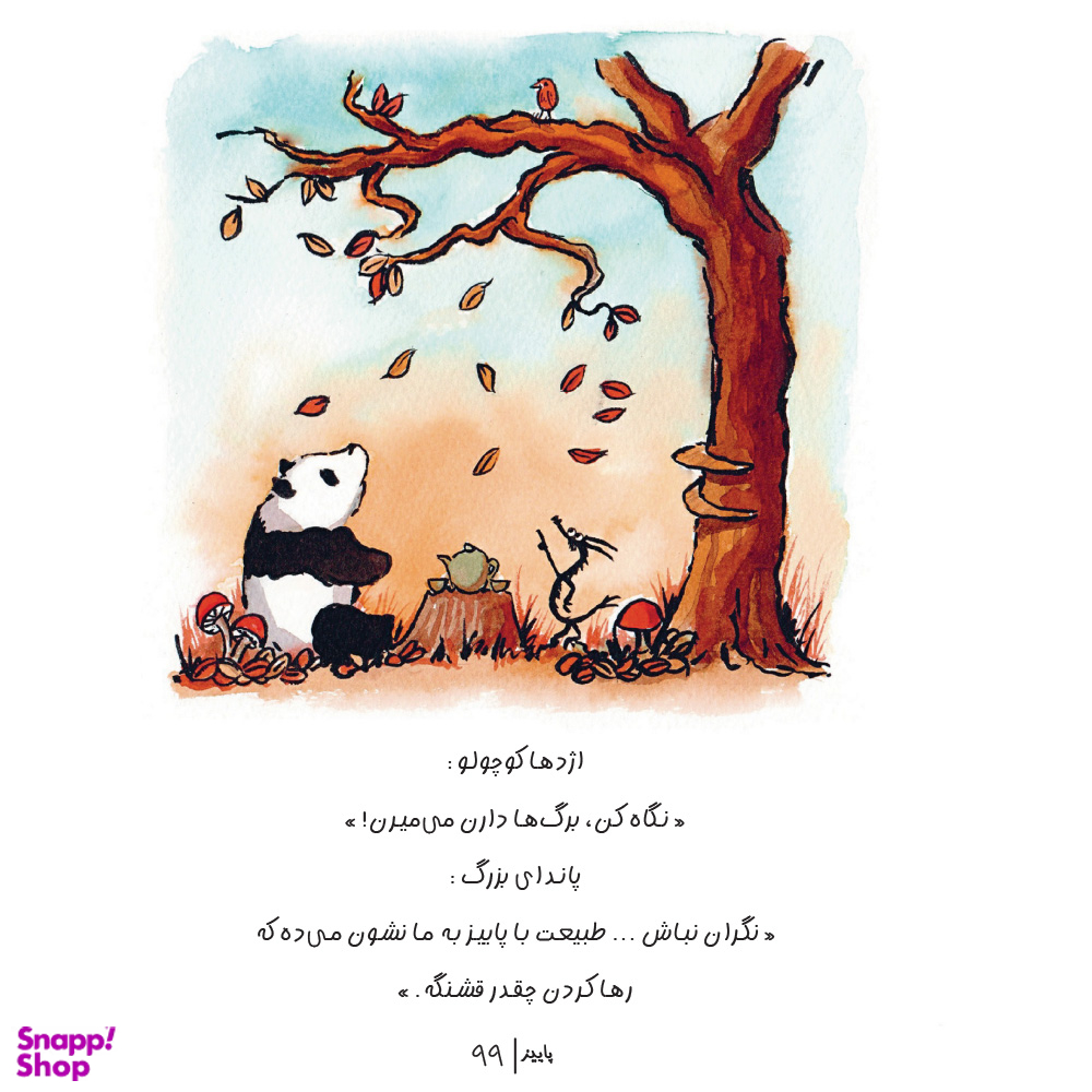 کتاب پاندای بزرگ و اژدهای کوچک اثر جیمز نوربری انتشارات آناناس