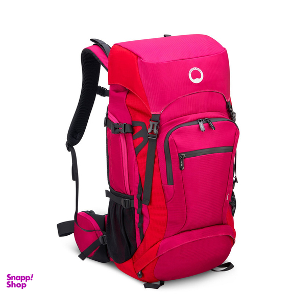 کوله پشتی ورزشی دلسی مدل NOMADE کد 3335612