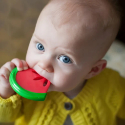 دندان گیر کودک دکتر براونز مدل D220 طرح هندوانه