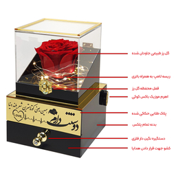 باکس گل رز جاودان موزیکال مدل دوستت دارم