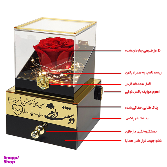 باکس گل رز جاودان موزیکال مدل دوستت دارم