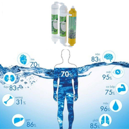 فیلتر تصفیه آب یخچال و فریزر بلوط مدل گیاهی BL 301 مجموعه 3 عددی