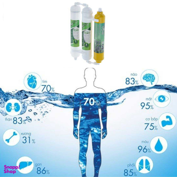 فیلتر تصفیه آب یخچال و فریزر بلوط مدل گیاهی BL 301 مجموعه 3 عددی