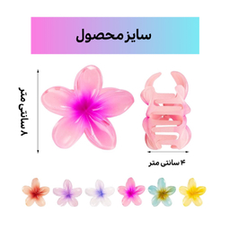 کلیپس مو زنانه مدل گل پلومریا