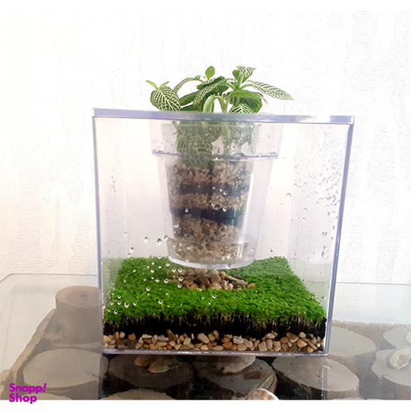 آکواریوم مدل گلدان مجموعه دو عددی