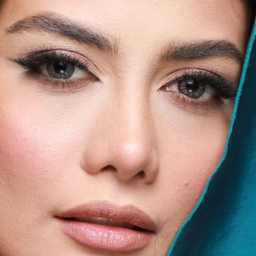 لنز فصلی بیوتی کد Faa310 شماره 14 رنگ خاکستری عسلی تیره دور دار