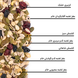مخلوط سالادی بارجیل