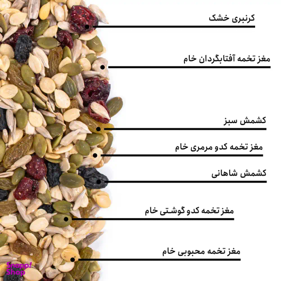 مخلوط سالادی بارجیل